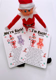 Elf Arrival Pocket Bear - Personalised