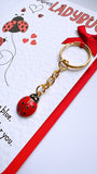 Valentine's Ladybird Keyring