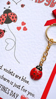 Valentine's Ladybird Keyring